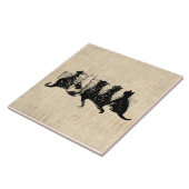 Carreau Chatons illustrés avec Arrière - plan de script de (Côté)