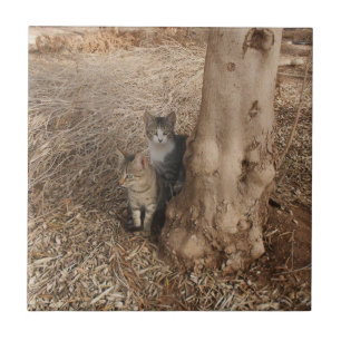 CARREAU CHATS DE CAMPAGNE POUR LES AMATEURS DE NATURE