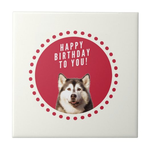 Carreau Chatte Sibérien Husky Chien Joyeux Anniversaire (Devant)