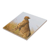 Carreau Cheetah (Côté)