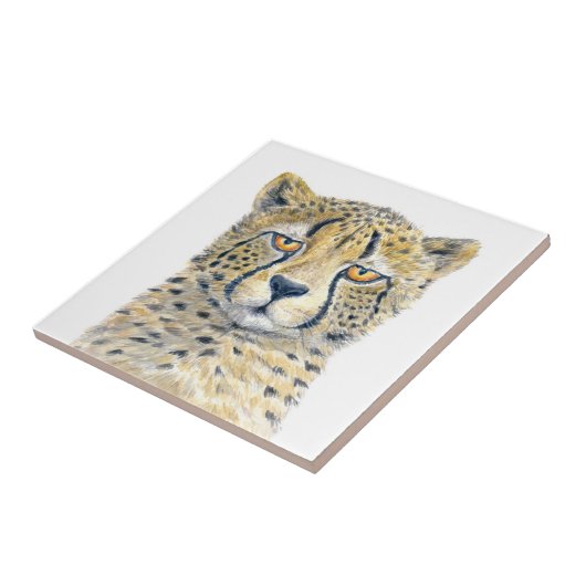 Carreau Cheetah (Côté)