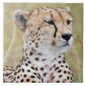 Carreau Cheetah (Devant)