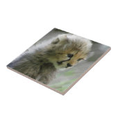 Carreau Cheetah 014 (Côté)