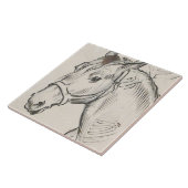 Carreau Chef d'un cheval (par Alfred Dehodencq) (Côté)