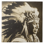 Carreau Chef indien de Sioux de cygne blanc<br><div class="desc">D'une plaque en verre authentique.</div>