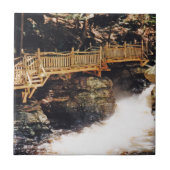 Carreau Chemin dangereux (Devant)