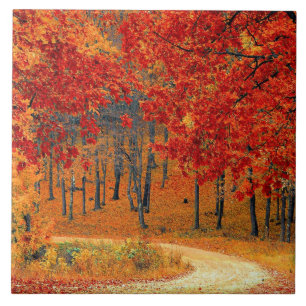 Carreau Chemin dans la forêt, automne