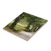 Carreau Chemin dans le pays (Côté)