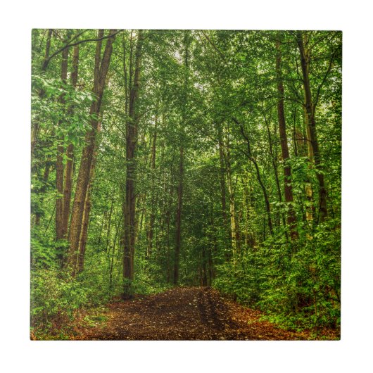 Carreau Chemin dans les bois (Devant)