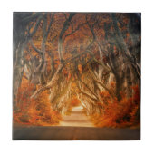 Carreau Chemin de bois d'automne (Devant)