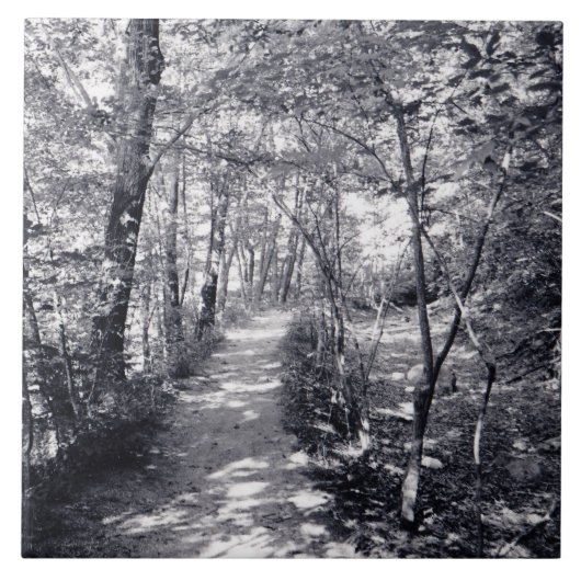 Carreau Chemin de la foi (Devant)