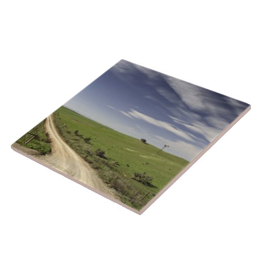 Carreau Chemin d'exploitation tortillant entre les champs (Côté)