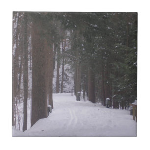 Carreau "Chemin d'hiver"