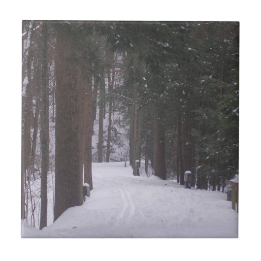 Carreau "Chemin d'hiver" (Devant)
