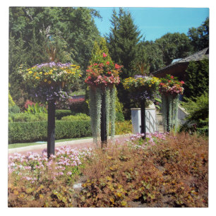 Carreau Chemin du jardin