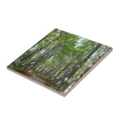 Carreau Chemin en bois centenaire II Ellicott City Marylan (Côté)