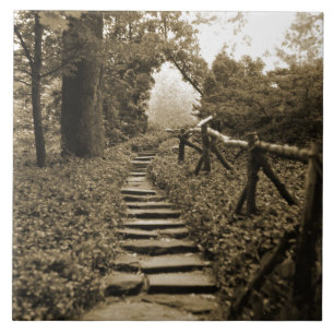 Carreau Chemin vers la lumière