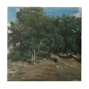 Carreau Chênes de Fontainebleau
