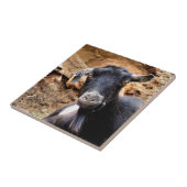 CARREAU CHÈQUE (Côté)