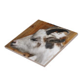 CARREAU CHÈQUE CUTE (Côté)