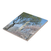 Carreau Cherry Blossoms et le monument de Washington à DC (Côté)