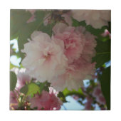 Carreau Cherry Tree I Spring Floral (Devant)