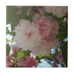 Carreau Cherry Tree I Spring Floral