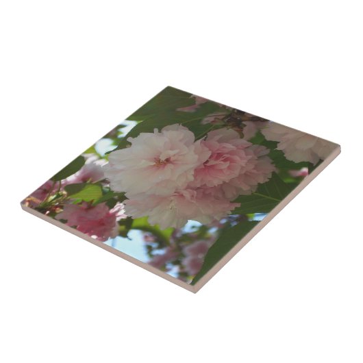 Carreau Cherry Tree I Spring Floral (Côté)