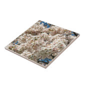 Carreau Cherry Tree in Bloom, Oregon (Côté)