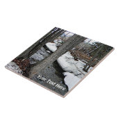 Carreau Chester Creek (Côté)