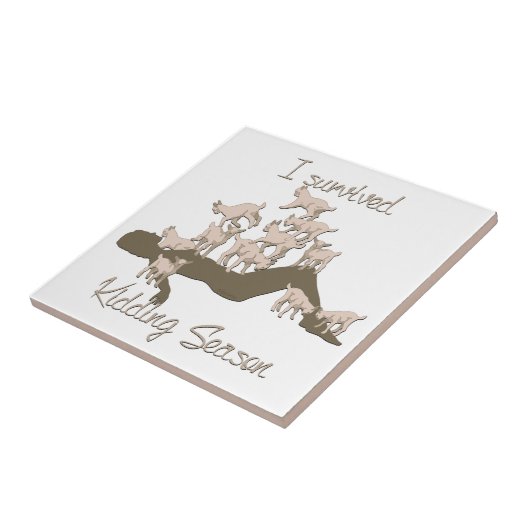 Carreau CHÈTES | J'ai survécu à la saison de l'enlèvement  (Côté)