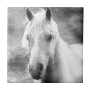Carreau Cheval