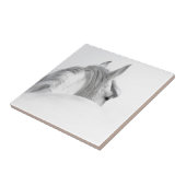 Carreau Cheval (Côté)