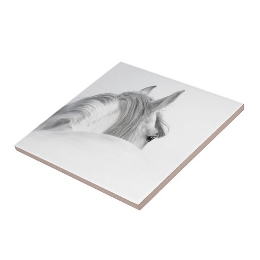 Carreau Cheval (Côté)