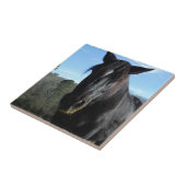 Carreau Cheval à bascule noir secouru (Côté)