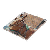 Carreau Cheval Amish (Côté)