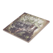 Carreau Cheval Amish et Buggy à l'ombre (Côté)