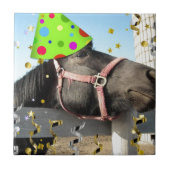 Carreau Cheval animal de fête (Devant)