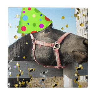 Carreau Cheval animal de fête