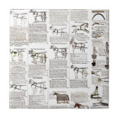 Carreau Cheval Antique Publicité Journal Art (Devant)