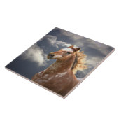 Carreau Cheval Appaloosa et nuages (Côté)