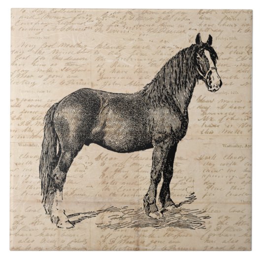 Carreau Cheval avec papier de script (Devant)