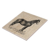 Carreau Cheval avec papier de script (Côté)
