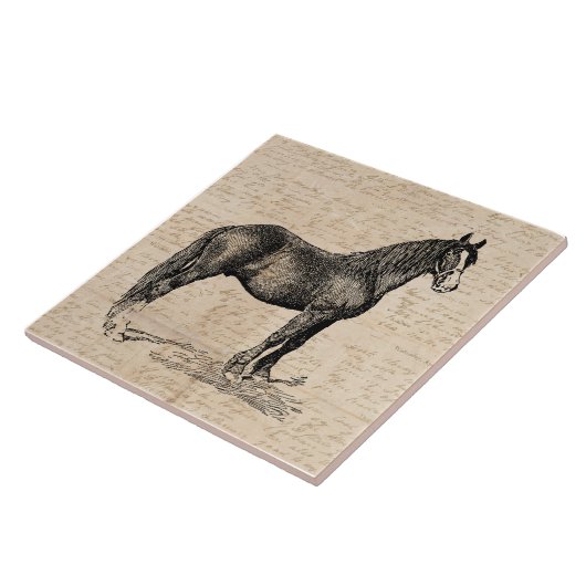 Carreau Cheval avec papier de script (Côté)