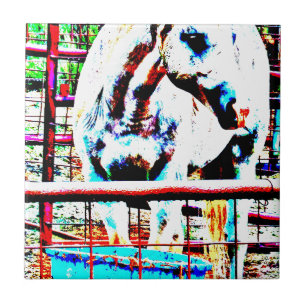 Carreau Cheval blanc