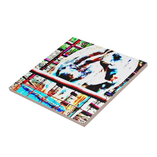 Carreau Cheval blanc (Côté)