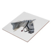 Carreau Cheval Blanc (Côté)