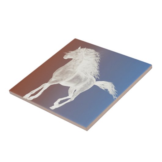 Carreau Cheval blanc (Côté)