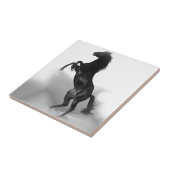 Carreau Cheval blanc noir (Côté)