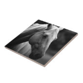 Carreau Cheval blanc noir (Côté)